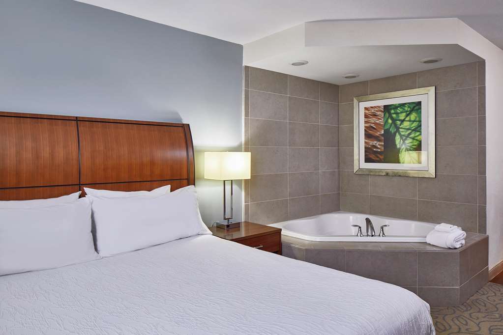 Hilton Garden Inn Atlanta Midtown Rom bilde